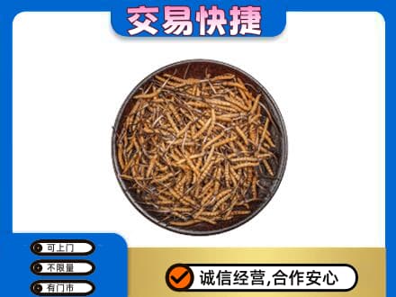 湘西回收散虫草
